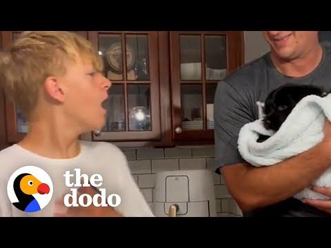 Parents Surprise Their Kids With New Puppies #Video