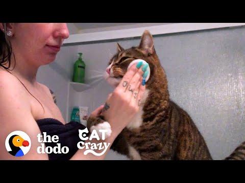 Cat Is VERY Involved In His Mom's Daily Routine #Video