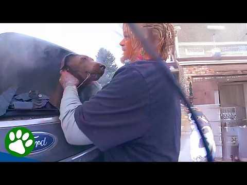 Hero Deputy Risks It All to Save Dog Trapped in Burning Car