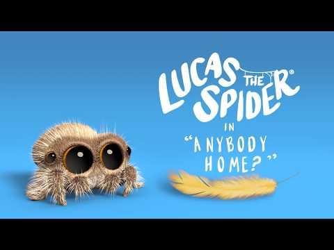 Lucas the Spider - Anybody Home?