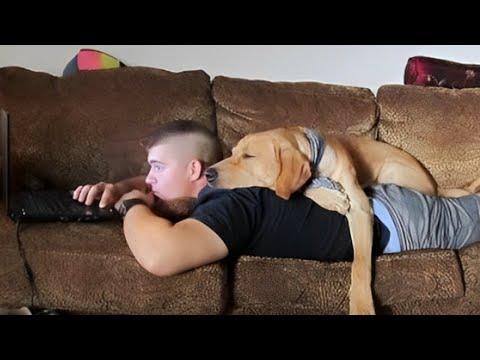 Dogs are absolutely the lovable and best friends you could have!