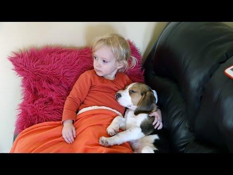 Charlie The Beagle And Laura Olivia | Movie Time