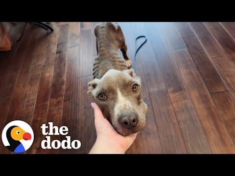 Skinny Pittie Almost Thrown Off A Bridge Overcomes Her Fears #Video