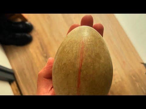 Abandoned egg reveals the sweetest surprise #Video