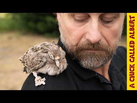 This never happened before and I tried everything to fix it... #Video