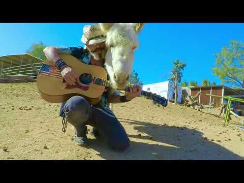Music loving donkey #Video