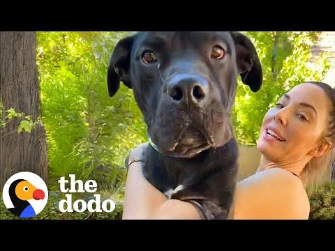 Whitney Cummings Brought Home A Dog With Two Left Legs #Video