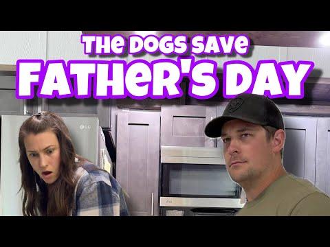 The Dogs Save Father’s Day! Layla The Boxer #Video