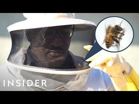 What It Takes To Be NYPD's Elite Bee Cop