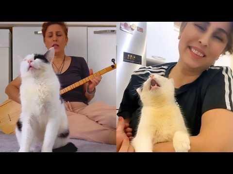 Cat HATES It When Mom Sings The Wrong Song