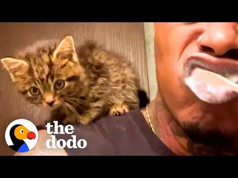 Guy Who Has Never Had A Pet Rescues A Kitten #Video