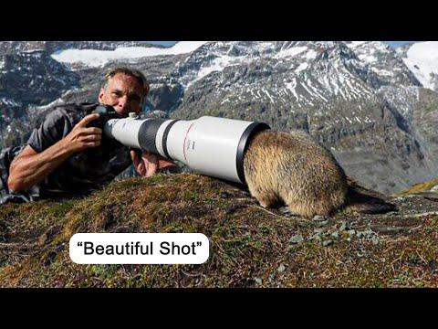 When Wildlife Turned the Camera on the Photographer #Video