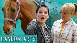 Horse Surprise - Random Acts
