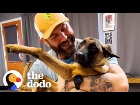 Guy Rescues A Malinois Puppy And Changes His Life #Video