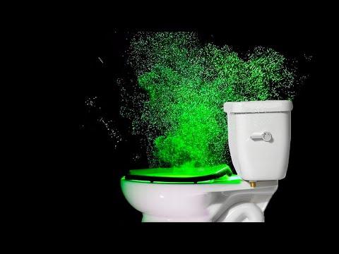 This Happens Every Time You Flush. Your Daily Dose Of Internet. #Video