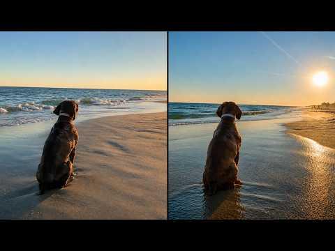 Dog Is Mesmerized By The Sunset #Video