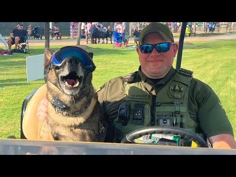Incredible Moments After Police Dogs Retire #Video