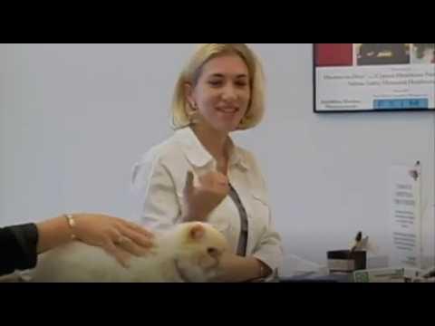 Candid Camera Classic: Doc Treats People & Pets #Video