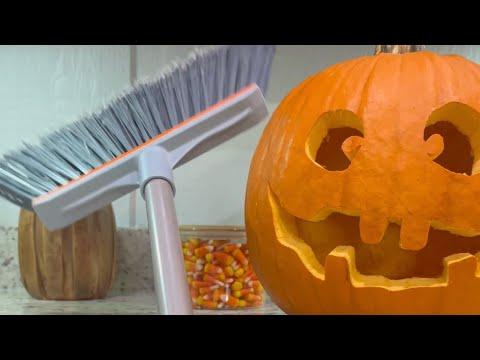 When Mom Carves a Pumpkin - Layla The Boxer #Video