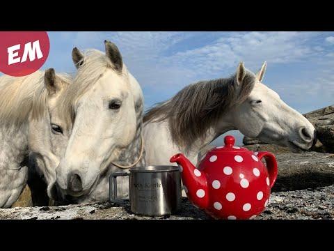 Equestrian Adventure Ready Video - My Summer Kit list! Emma Massingale