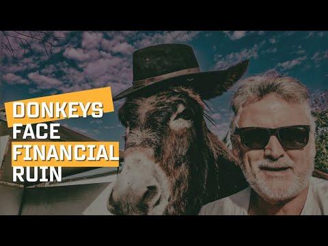 Donkeys face financial ruin and Woody gets a little TLC #Video