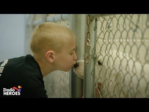 This Kid's Goal Is To Get Every Single Shelter Dog in the U.S. Adopted | The Dodo Heroes Season 2