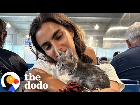 Woman Swims Into Busy Port To Rescue Drowning Kitten #Video