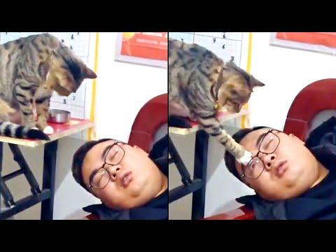 Nap Time Was Over | YOUR Daily Dose Of Pets #Video