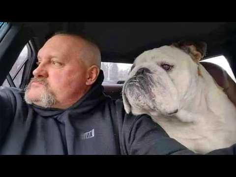 When Your Dog Hilariously Copies Everything Humans Do #Video