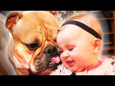A Baby And A Bulldog Become Best Friends