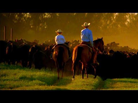 Cowboy Paintings (Texas Country Reporter) #Video
