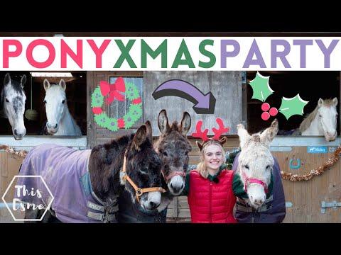 Pony Christmas Party with the Donkeys! AD | This Esme #Video