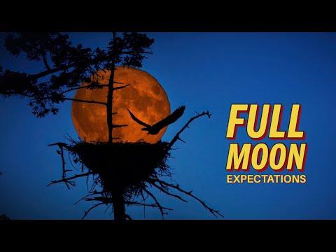 MOON PHOTOGRAPHY from a mountain top - Night photography using the Nikon Z9 #Video