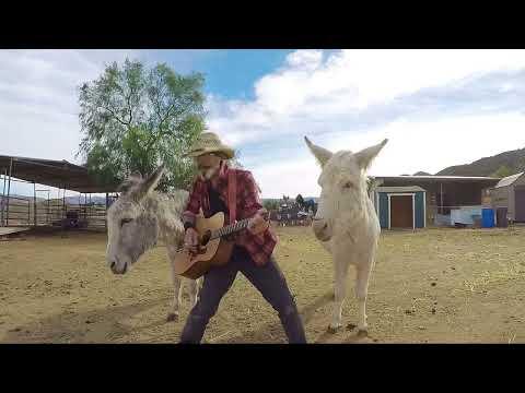 One jealous donkey loving music Hazel the donkey #Video
