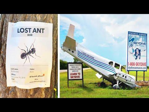 Funny Signs Found In The Wild #Video