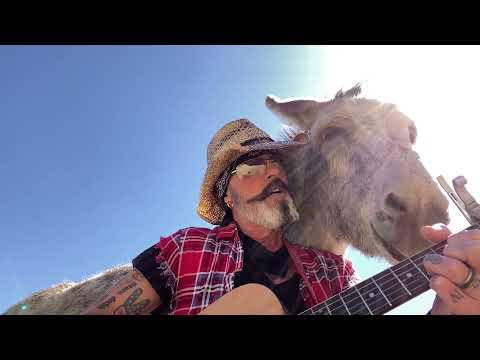 Hazel the Donkey Loves the Beatles Music. Donkeys compete for attention #Video
