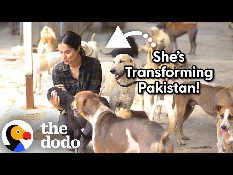 This Woman Has Rescued Over 35,000 Animals #Video