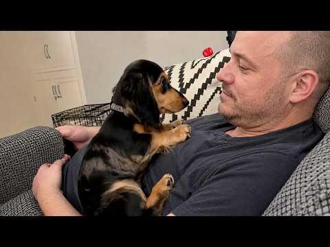 When Your Dog Finds Paradise at Grandpa’s House #Video
