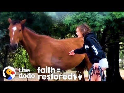 Girl Hears What's Happening To Horses In Australia — So She Does THIS | The Dodo Faith = Restored