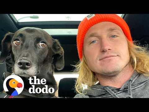 Pro Surfer Breaks His Collarbone — So He Fosters A Dog #Video
