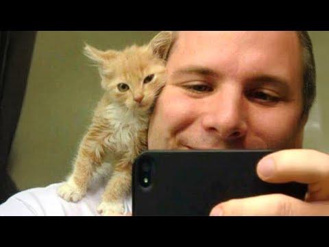 It's amazing when cats pick you as their forever best friend! #Video