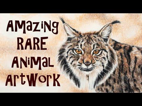 Amazing Rare Animal Artwork By Becky Kidus