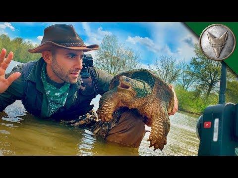 How to Catch a Mud Dragon in Virtual Reality!