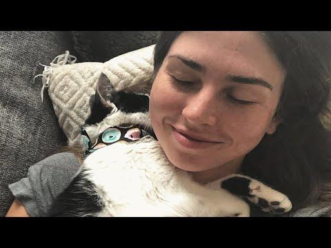 This woman was always a dog person. Then she brings home a blind cat. #Video
