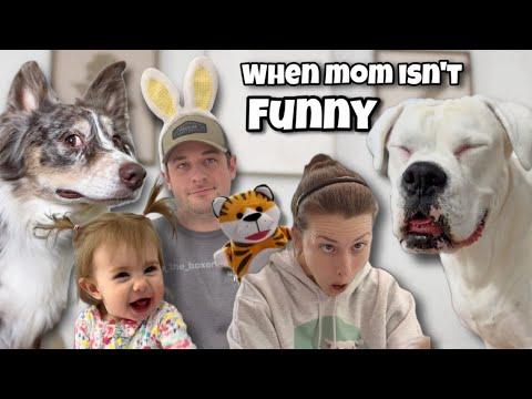 When Mom Isn’t Funny - Layla The Boxer #Video