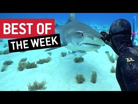 Best of the Week | Anger Level Increasing...
