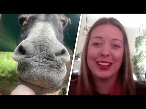 Woman adopts a shy donkey. Then came the big surprise. #Video