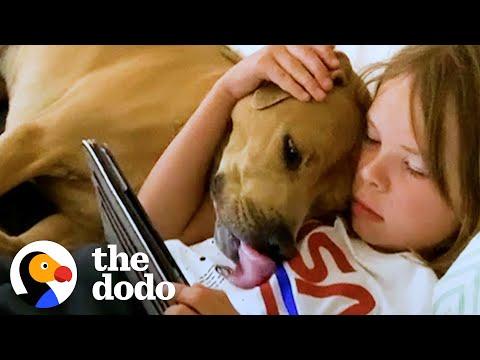 Little Girl Makes Video To Convince Her Parents She's Ready For A Dog #Video