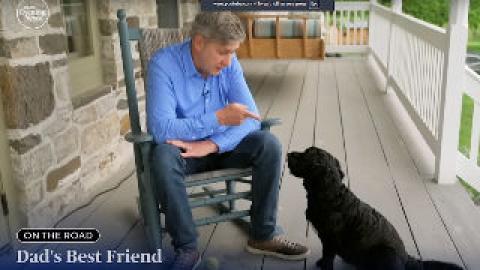 Reluctant Dog Dad? Watch This & Cry Laughing #Video