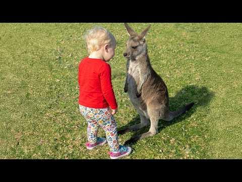 Adorable Animals Meeting Babies For The First Time Went Better Than Dreamed! #Video